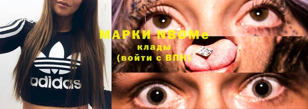 крисы Баксан