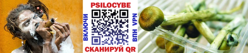 как найти закладки Топки Галлюциногенные грибы GOLDEN TEACHER
